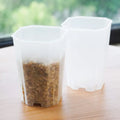 Octagonal Transparent clear Flowerpot Observe Plant Growth Flowerpot  Black and White