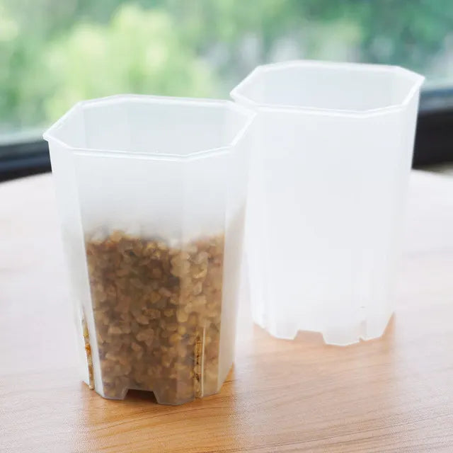 Octagonal Transparent clear Flowerpot Observe Plant Growth Flowerpot  Black and White