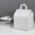 Customizable Printed Logo Non-Woven Picnic Accessories Thermal Insulation Lunch Food Delivery Bag for Keep Warm