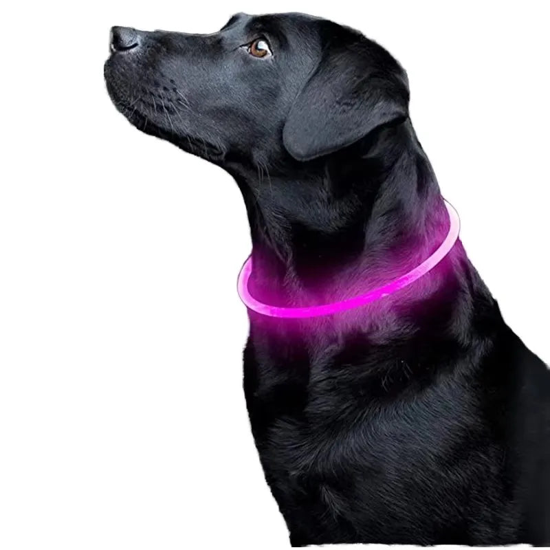 USB Rechargeable LED Dog Collar Water-Resistant TPU Glowing Luminous Classic Simple Ribbon Decorations Printed Buckle Closure