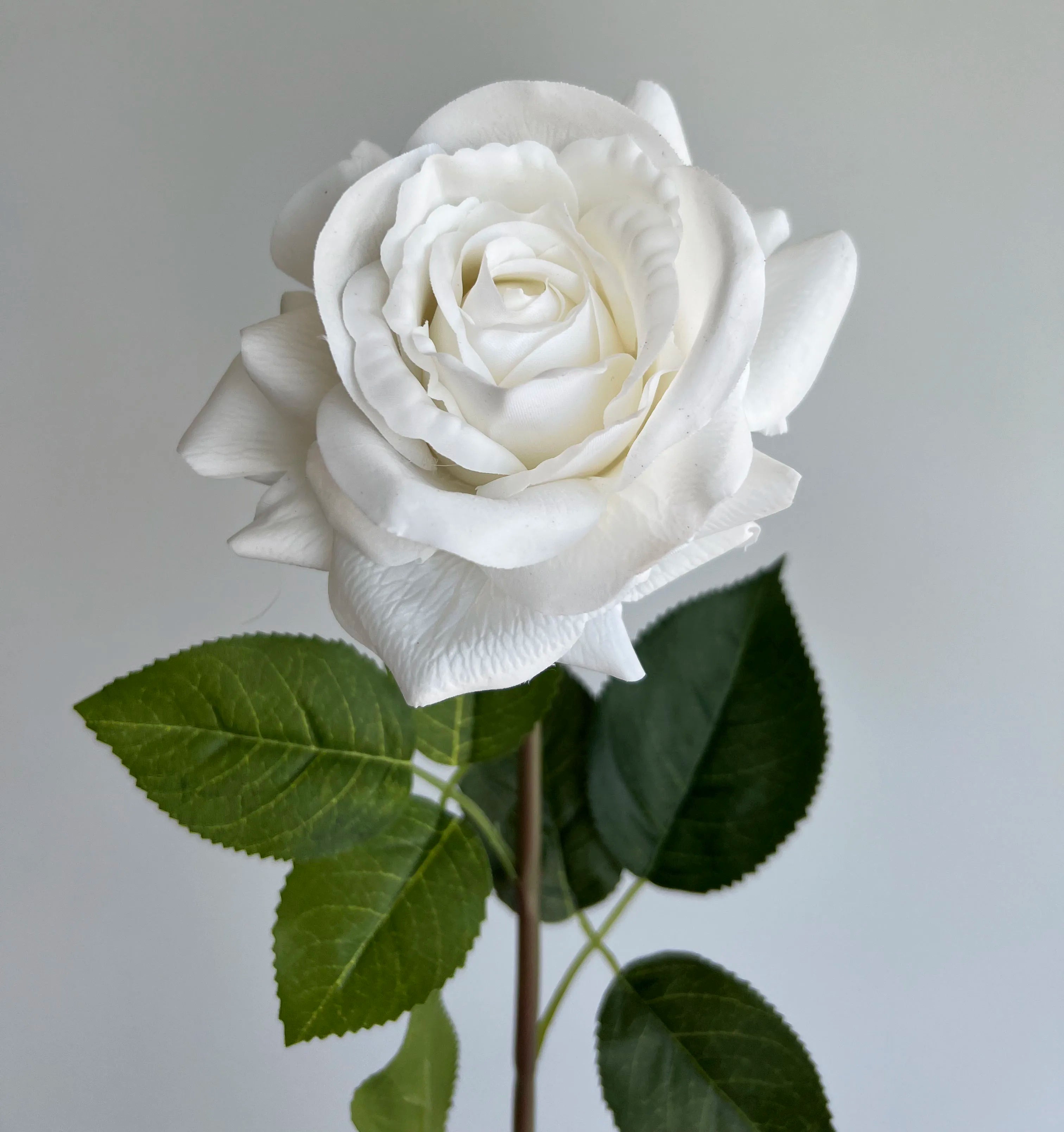 O-X306 Wholesale Price Real Touch Artificial Flower Rose Home Wedding Decor Artificial Flowers Real Touch Single Stem Rose