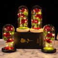 Christmas Valentine's Day Gift Three Simulated Roses Glass Cover Decoration Gift LED Lamp Decoration Gift Christmas LED Lamp