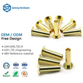 Saitong Hardware Flat Head Semi Hollow Brass Rivets ISO9001 for Luggage Belt Application