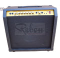 Weifang Rebon 60 Watt Electric Guitar/Guitar  Amplifier/Speaker