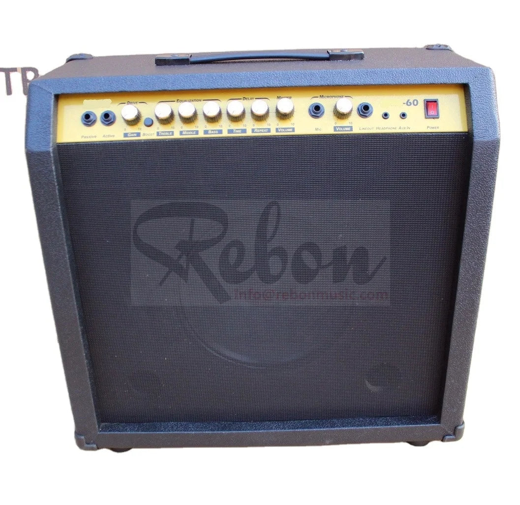 Weifang Rebon 60 Watt Electric Guitar/Guitar  Amplifier/Speaker