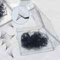 Thin Base 500 Fans/box Premade Volume Fans Lashes 4D 5D 6D 7D 8D 9D 10D 12D  Promade Tray  Lash Fans Eyelashes Extension