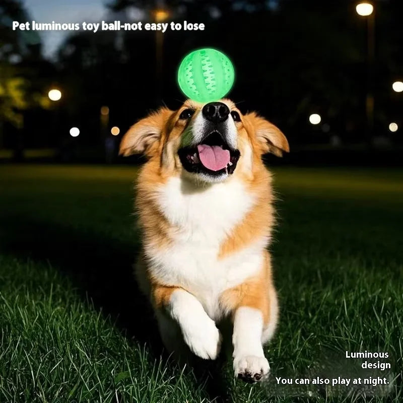 Luminous Ball Pet Toy Interactive Dog Toy Soft Treat Chew Ball Pet Training Dog Feeder Teeth Cleaning TPR Chew Toys