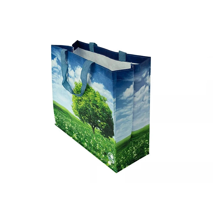 Ruthbag PP Woven 100% Recycled Letter Pattern Medium Shopping Bag Shoulder Strap Polypropylene Laminated Customized Design for