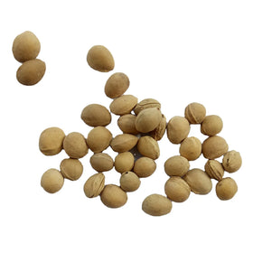 Ying Tao He Natural Raw Bulk Dried Nut of Falsesour Cherry for Herb