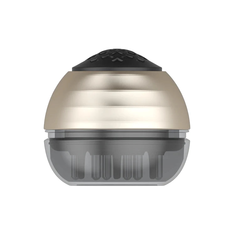 Scalp Massage Comb with Retractable Rolling Ball Teeth and Oil Compartment Bottle Applicator Plastic Handle for Home Use