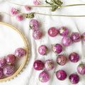 Most Popular in 2026 Floral Resin Sphere Orb 20mm 25mm Purple Gomphrena Flower Pendant Necklace