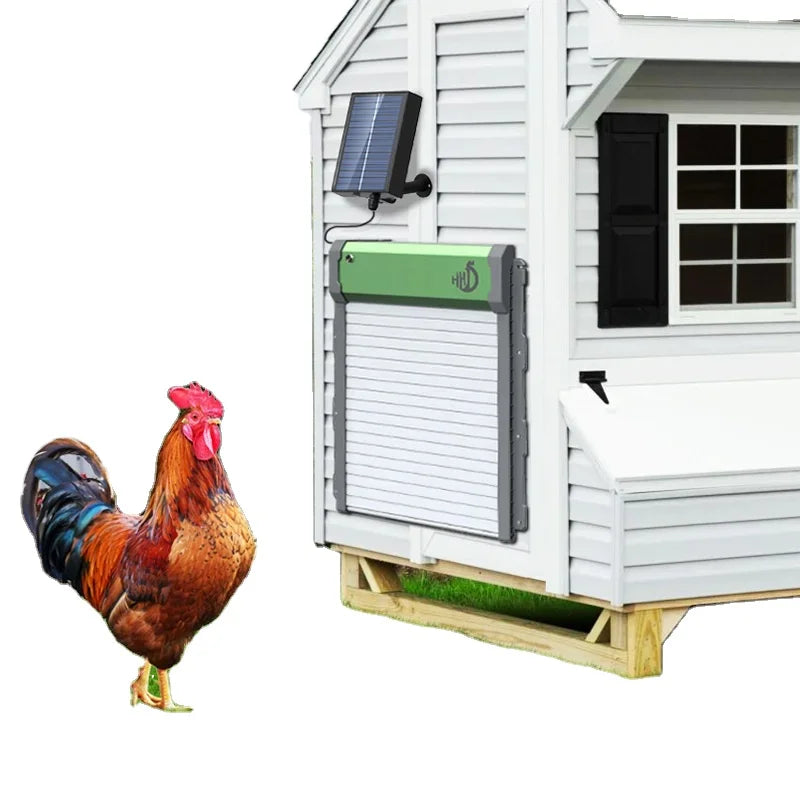 Automatic Solar Panel Chicken Coop Door With Timer and Light Sensor for Chicken House