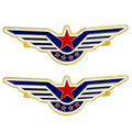 Manufacturer Custom Flight Academy Logo Metal Soft Enamel Eagle Wings Lapel Pin Aviator Clothing Brooch Chest Emblem Hat Badge