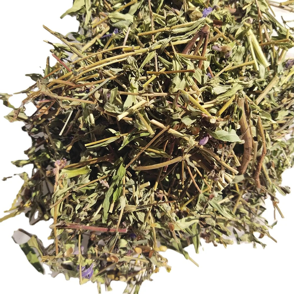 Wholesale Loose Natural Scutellaria Baicalensis Stem Leaf Dried BAIKAL SKULLCAP Cut