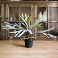 A-1049 High Grade Plastic Hanging Plant Big Green Artificial Tropical Plant Staghorn Fern for Home Decoration