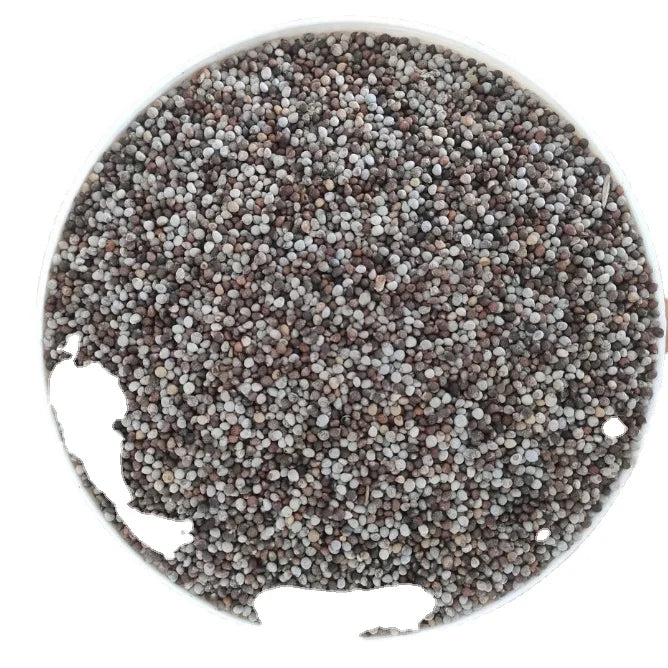 1kg Nautral Wholesale Price Raw Whole Mixed White Perilla Seed and Brown Red Perilla Seed for Bird