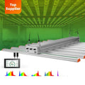 Competitive Price Led Grow Lm301H Meanwell Led Grow Light Single Led Grow Lihgt Wholesale From China