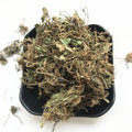 Ji Xue Cao Wholesale Centella Asiatica Dried Leaf Gotu Kola