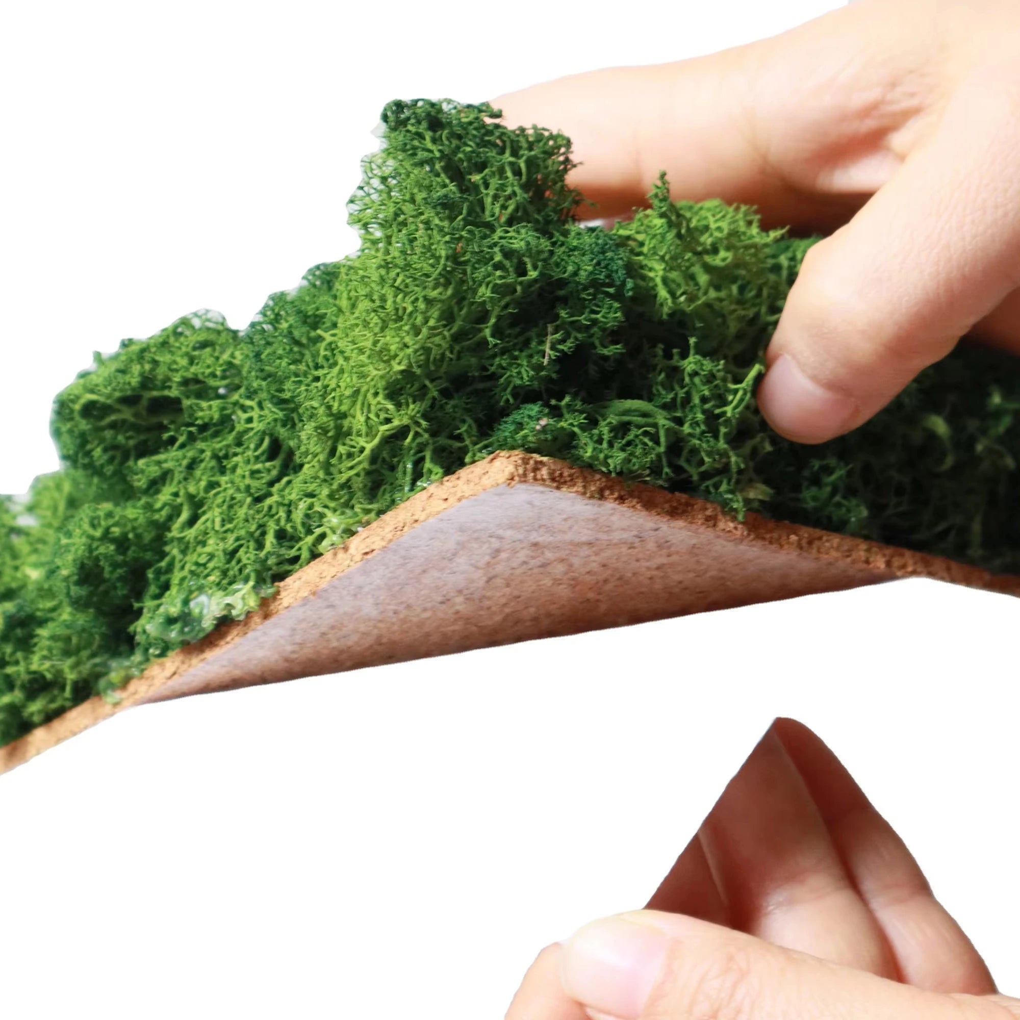 Factory Wholesale Preserved Moss Sheets Moss Wall Art Natural Real Preserved Moss Panel for Wall Home Office Mall Decoration