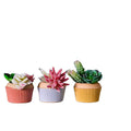 Cute Cupcake Design Home Garden Indoor Outdoor Decoration Ceramic Flower Pots Ceramic Succulent Pot with Drainage Hole