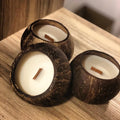 Eco Friendly Clean Burning Soy Coconut Wax Candle Handmade in Real Coconut Scented Shell Candles Coconut Bowl Candle