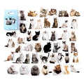 45pcs/pack Kitten Selfie Box-Packed Paper Stickers Cute Cartoon Cat DIY Notebook Phone Case Decorative Closure Pasteup