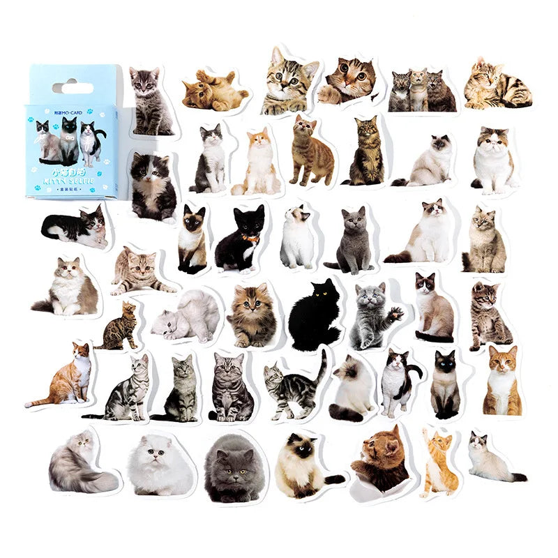 45pcs/pack Kitten Selfie Box-Packed Paper Stickers Cute Cartoon Cat DIY Notebook Phone Case Decorative Closure Pasteup