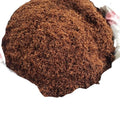 Wholesale 100% Pure New Dried Monomorium Pharaonis Yellow Pharaoh Ant for Sale