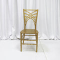 Wholesale Outdoor Stackable Chameleon Plastic PP Chairs for Event Party Wedding & Dining Hotels Resin Material Available Rental