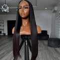 6x6 HD Lace Closure Wigs Human Hair 100% Vietnamese Virgin Hair Glueless Straight Frontal Wigs Pre Plucked Natural Hairline