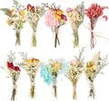 Mini Dried Flower Bouquet 10  Bundle Dried Flower Bouquet DIY Dried Flowers for Daily Home Decoration