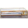 21.5x12x3.8cm Rectangle Glass and Brass Photo Storage Case with USB Slot for 4x6 5x7 6x4 Inches