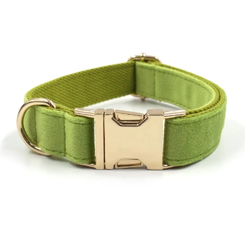 Pet Products Custom Personalized Multicolour Green Velvet Dog Neck Collar Fashion Design with Matel Buckle