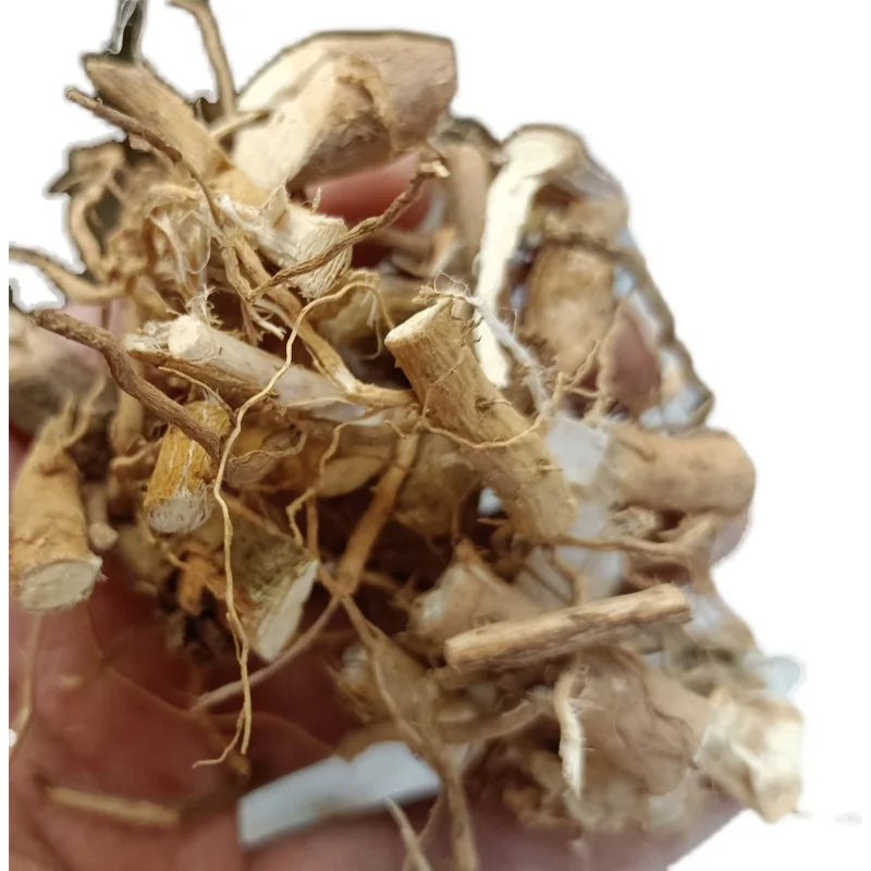 Chinese Native Plant Rose Mallow Root Urena Lobata Roots for Herb