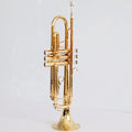 Lacquer Gold Surface BB Trumpet Brass Tube Body