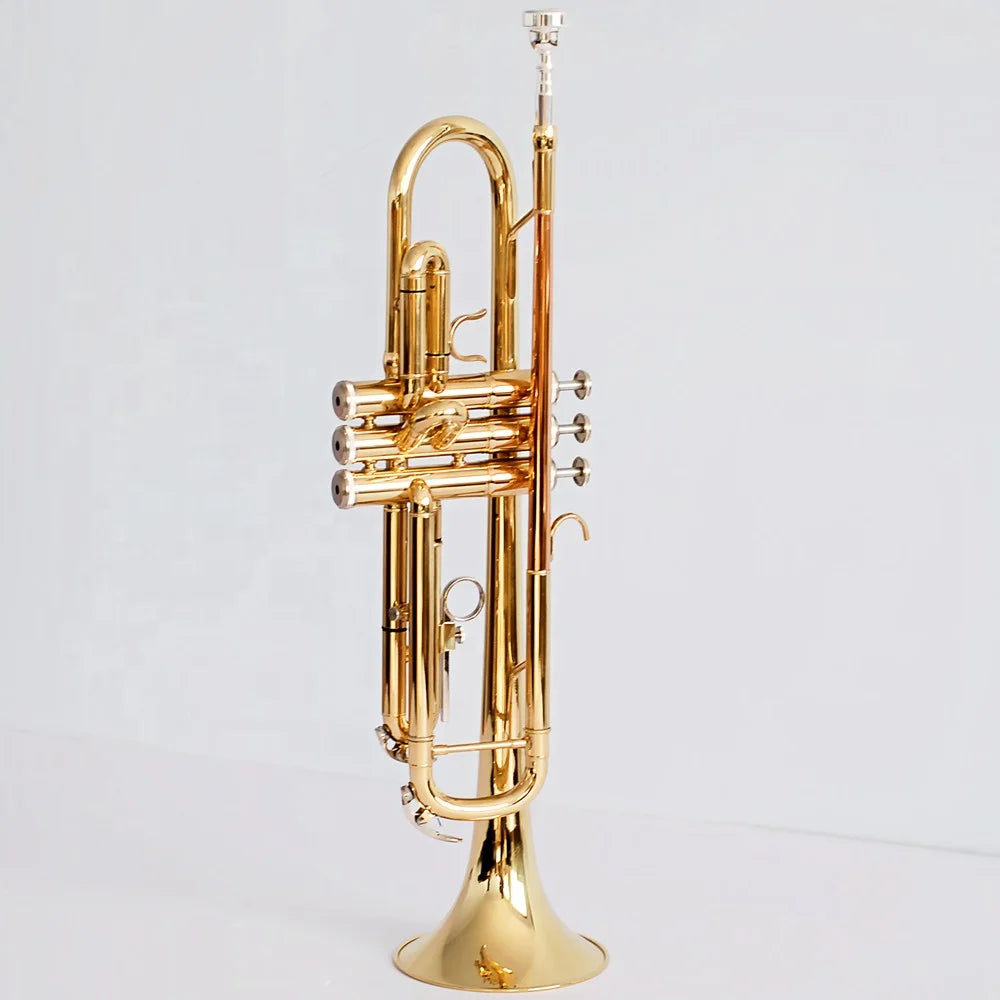 Lacquer Gold Surface BB Trumpet Brass Tube Body