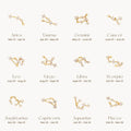 Minimalist 18 k Gold Plated 925 Sterling Silver Cubic Zircon Diamond Zodiac Stud Earring for Women