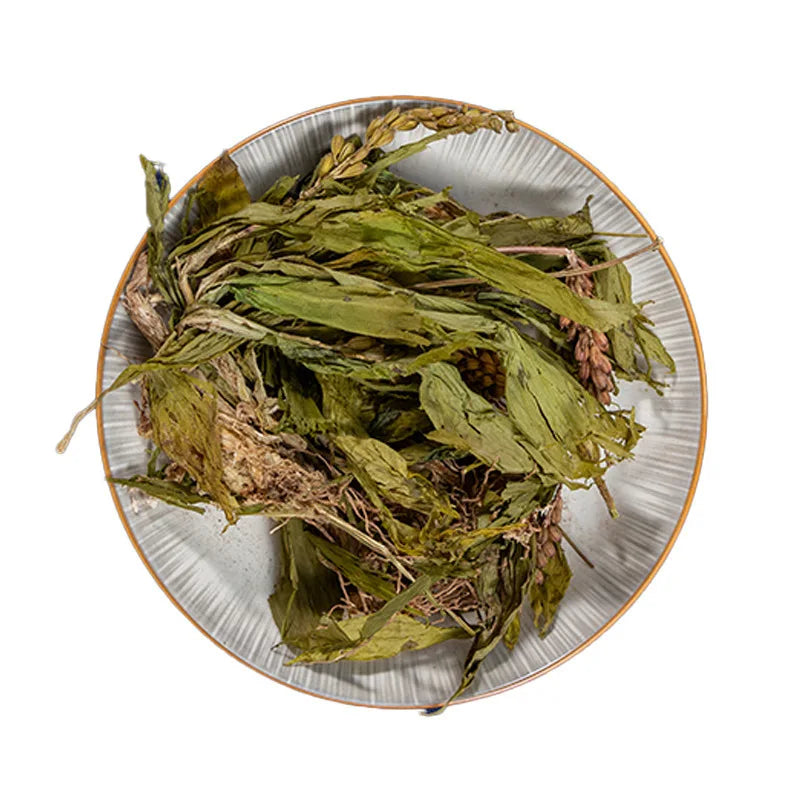 Jian Xue Qing Natural Wild Dried Liparis Cucullata Plants All-grass of Nerved Twayblade for Sale