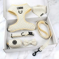 Neoprene Dog Harness Leash Matching Pet Collars Leashes Harnesses No Pull Dog Harness Bundle Designer Customization Services