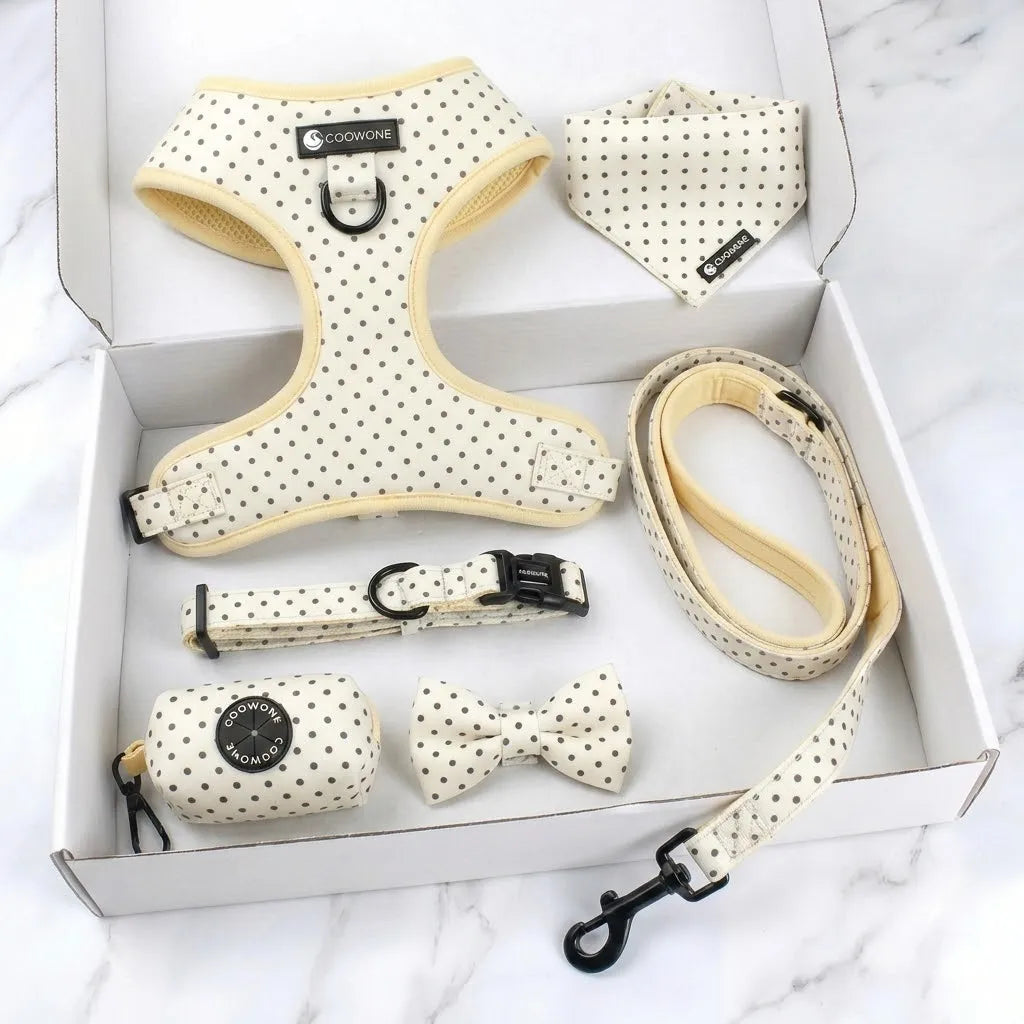 Neoprene Dog Harness Leash Matching Pet Collars Leashes Harnesses No Pull Dog Harness Bundle Designer Customization Services