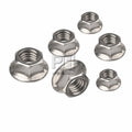 DIN6923 M3 M4 M5 M6 M8 M12 304 Stainless Steel Flange Nut with Tooth Hexagon Nut Flange with Cushion Hex Knurled Flange Nut