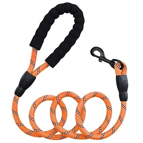 Highly Reflective Nylon Dog Rope Leash Heavy Duty with Soft Padded Anti-Slip Handle Decorated with Ribbons Pet Collar Type