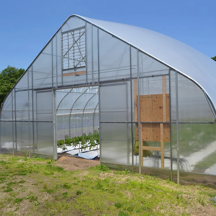 Hydroponic Gothic Structure Greenhouses Economic High Tunnel for Efficient Vegetable Tomato Growing Quality Film Arch Hoop House