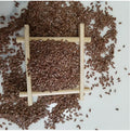 Air Dried Flaxseeds Grain Flaxseed
