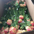 2023 Home Wedding Single Flower Long Stem Real Touch Silk Roses Artificial Roses Realistic Blossom Roses Christmas Father's Day