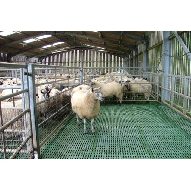 Factory Directly Supply Prefabricated House Steel Sheep Goat Shed Plastic Floor