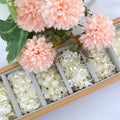 ABS Flower Pearl Beads Wholesale Loose Pearls Handmade Artificial Pearls ABS Beads for Earring Making