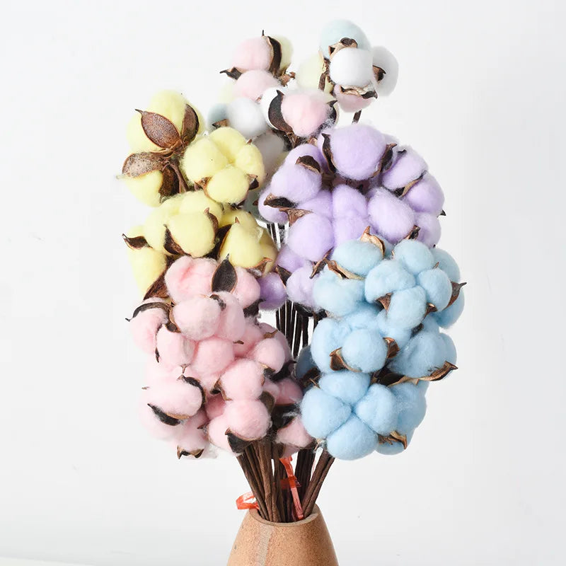 O-X696 Wholesale Big Bundle Dried Flower Cotton Colorful Cotton Flower 10 Heads Natural Dried Flowers Cotton for Home Wedding