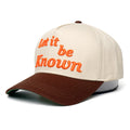 Qianzun BSCI CE AZO Manufacturer Two Tone High Quality Custom Embroidery a Frame 5 Panel Green Underbrim Baseball Cap Hat