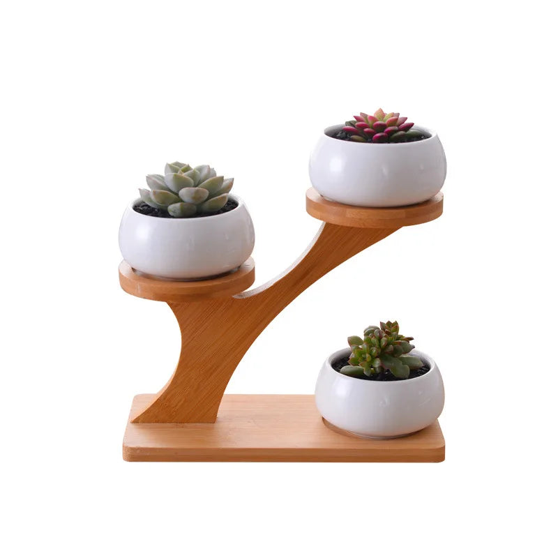 White Creative Ceramic Flower Pot with Bamboo Frame Various Types of Small round Tree Tops for Home & Garden Use
